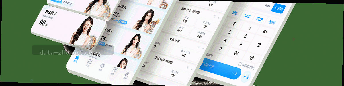 数据加密与隐私保护示意图，盾牌轮廓与抽象加密线条